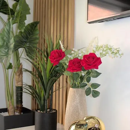 Apartamento L'escale Tropicale, Independant Avec Terrasse Privative Saint-Quentin (Aisne)