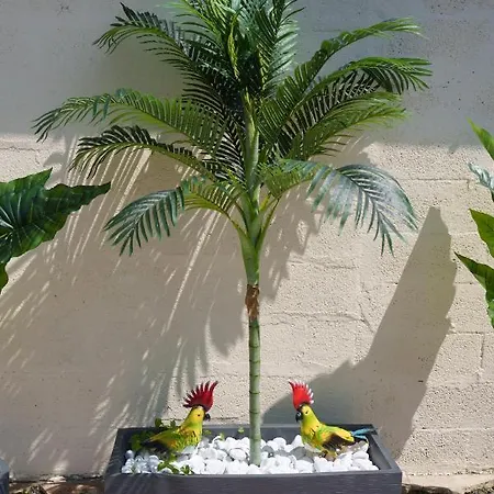 L'escale Tropicale, Independant Avec Terrasse Privative * Saint-Quentin (Aisne)