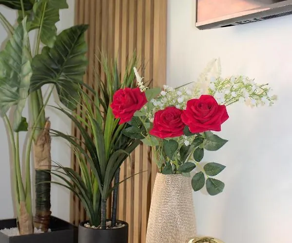 Appartement L'escale Tropicale, Independant Avec Terrasse Privative Saint-Quentin (Aisne)