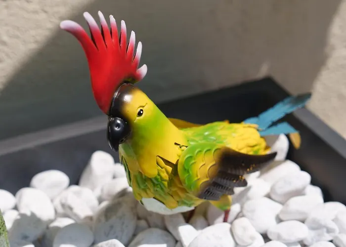 L'escale Tropicale, Independant Avec Terrasse Privative Saint-Quentin (Aisne)