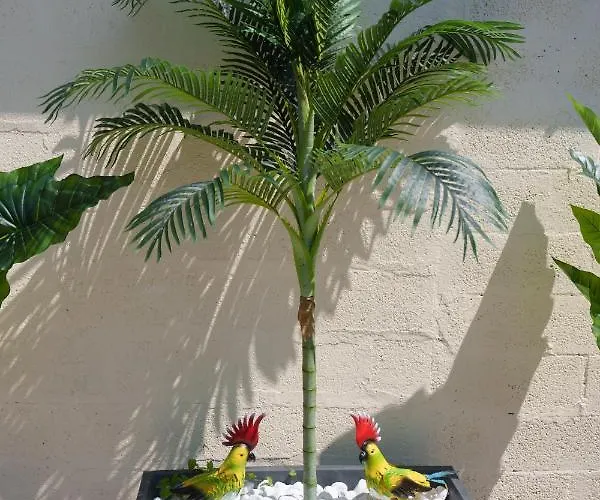 L'escale Tropicale, Independant Avec Terrasse Privative * Saint-Quentin (Aisne)